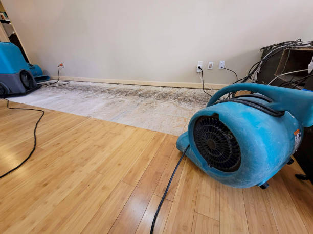 Professional Emergency Water Damage technician working in Flat Rock, OH